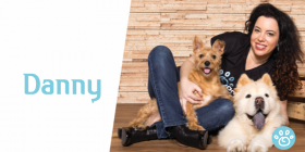 Danny: um cãozinho dado por Deus para a Cláudia