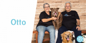 Otto: A doença perdeu e o amor venceu