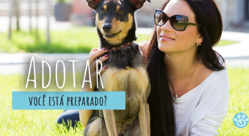 Adotar um pet: você está preparado para esta responsabilidade?