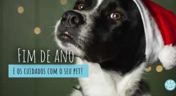 Fim de ano: é hora de redobrar os cuidados  com o seu pet