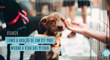 Como a adoção de um pet pode mudar a vida das pessoas