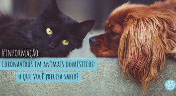 Coronavírus em animais domésticos: o que você precisa saber?