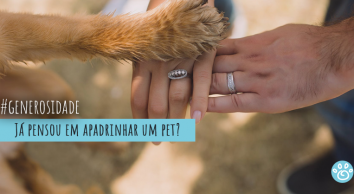 Já pensou em apadrinhar um pet?