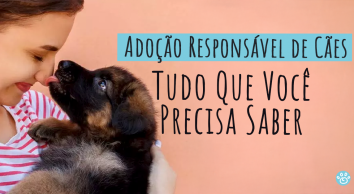 Adoção Responsável de Cães