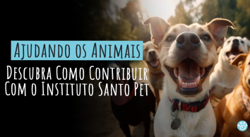  Ajudando os Animais