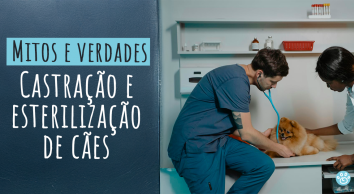 Castração e esterilização de cães
