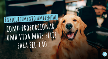 Enriquecimento ambiental