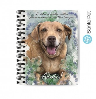 Caderno Esmeralda 