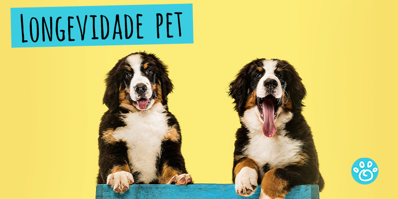 Longevidade Pet