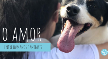 Seres humanos e animais: amor que só faz bem
