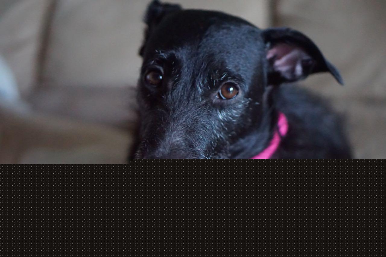 A história mais linda que você vai ler hoje