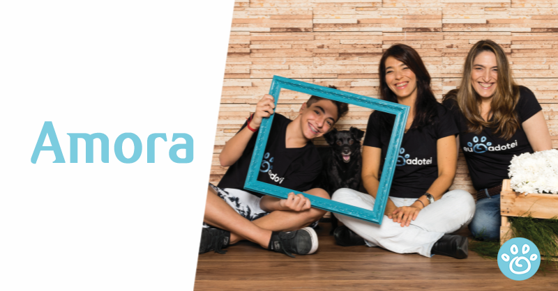 História de Amora: Mistérios acontecem e o amor também.