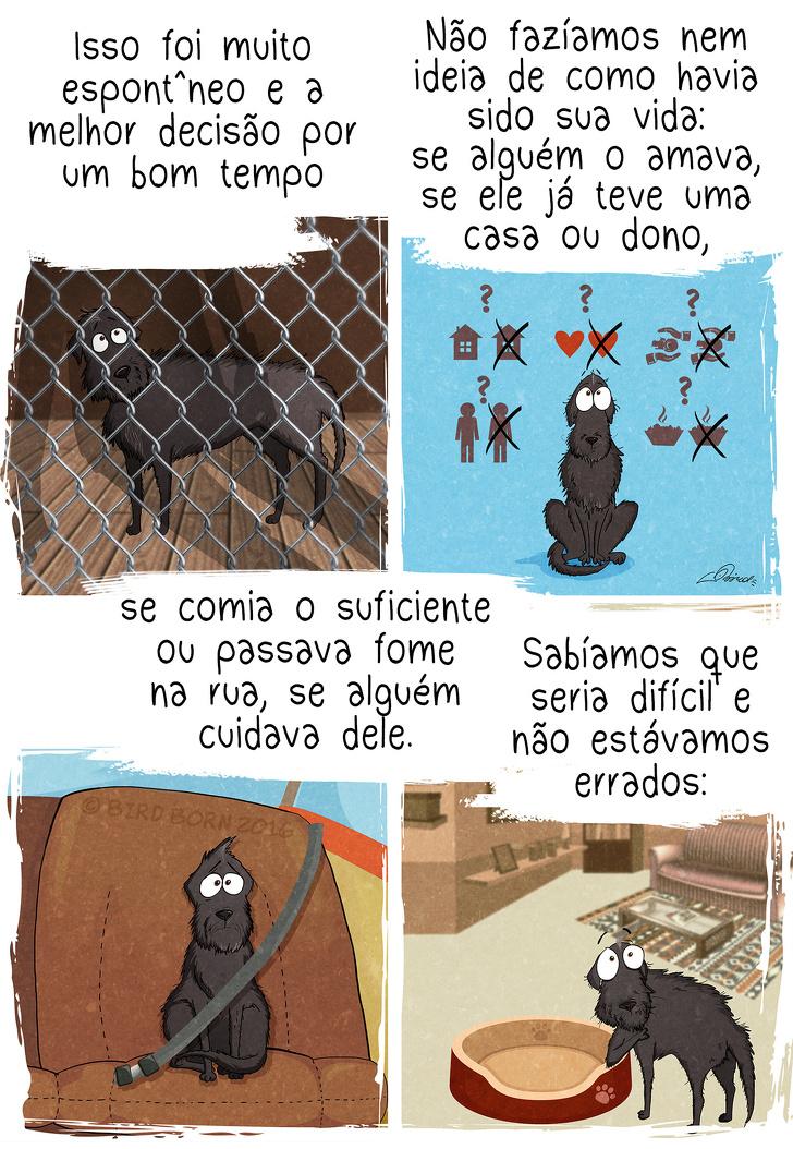 10+ Coisas que percebemos quando adotamos um cão de abrigo