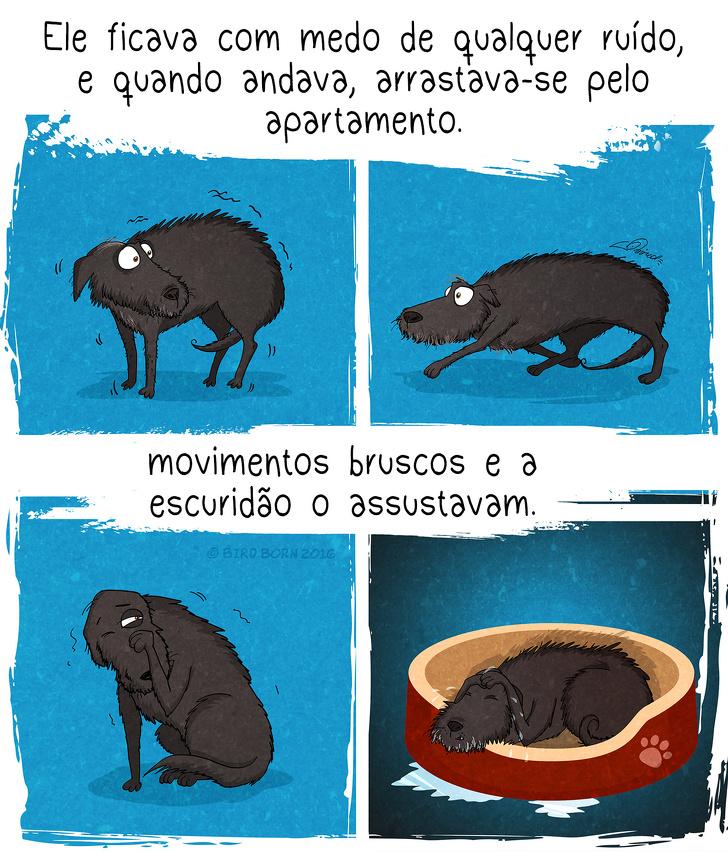 10+ Coisas que percebemos quando adotamos um cão de abrigo