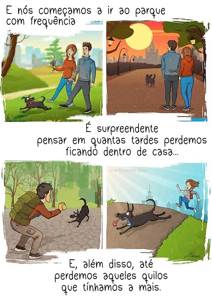 10+ Coisas que percebemos quando adotamos um cão de abrigo