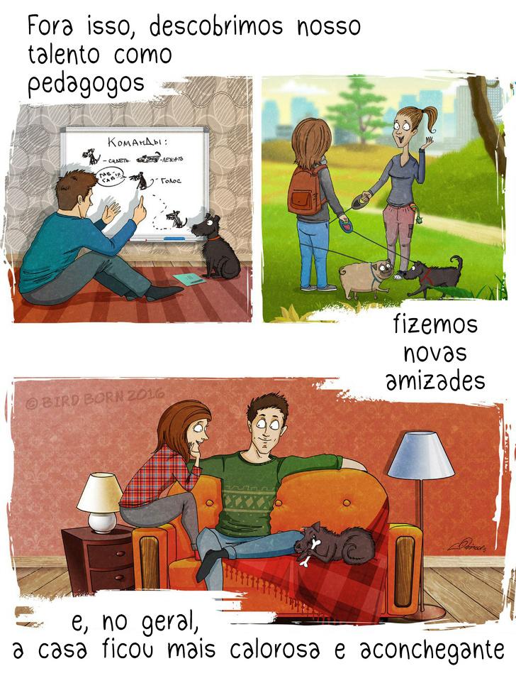 10+ Coisas que percebemos quando adotamos um cão de abrigo