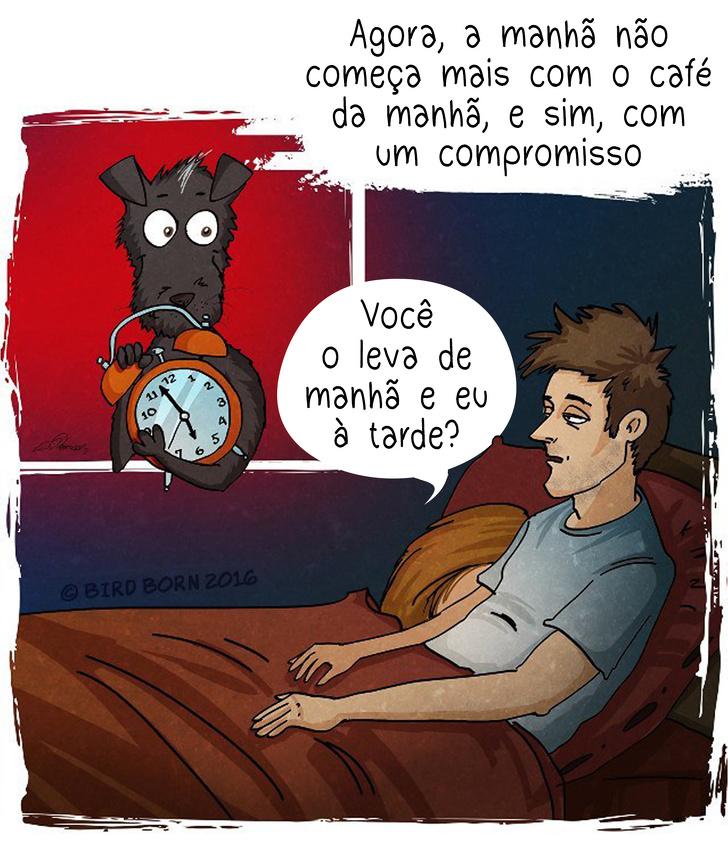 10+ Coisas que percebemos quando adotamos um cão de abrigo