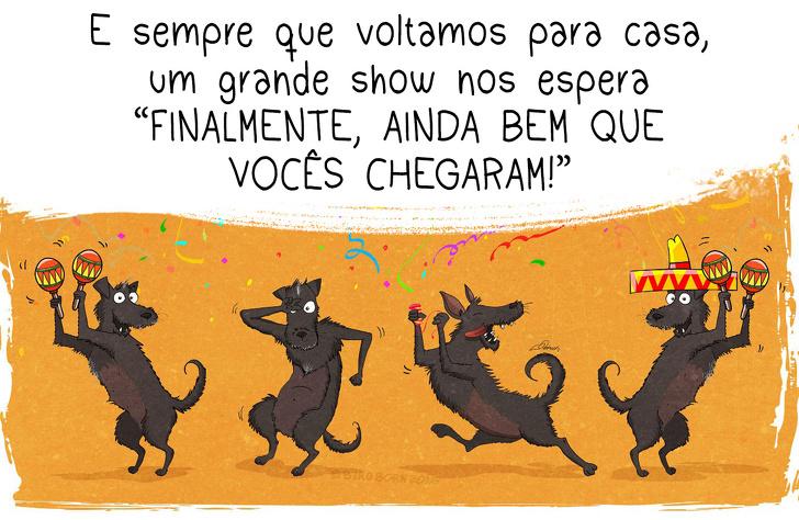 10+ Coisas que percebemos quando adotamos um cão de abrigo