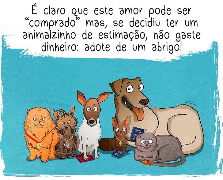 10+ Coisas que percebemos quando adotamos um cão de abrigo