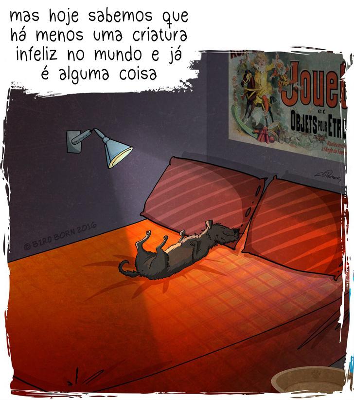 10+ Coisas que percebemos quando adotamos um cão de abrigo