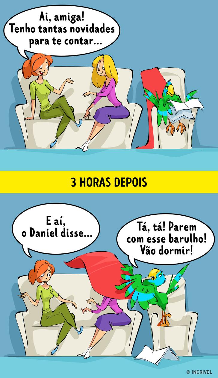Como seria se trocássemos de lugar com nossos pets Como seria se trocássemos de lugar com nossos pets