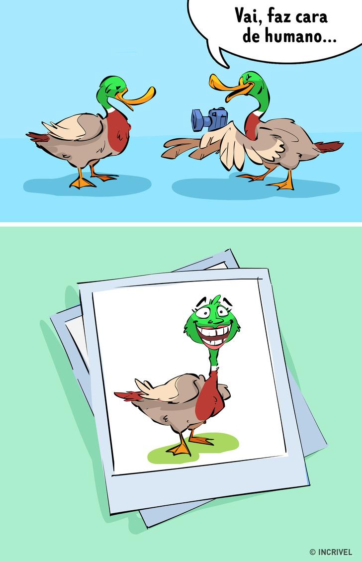 Como seria se trocássemos de lugar com nossos pets Como seria se trocássemos de lugar com nossos pets
