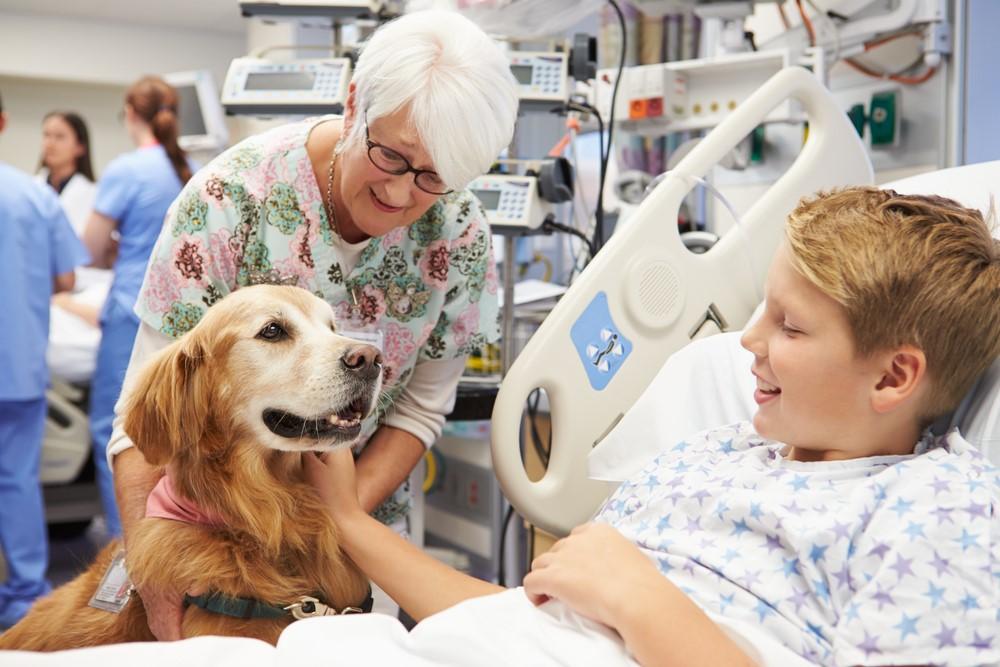 Conheça a Pet Terapia Conheça a Pet Terapia