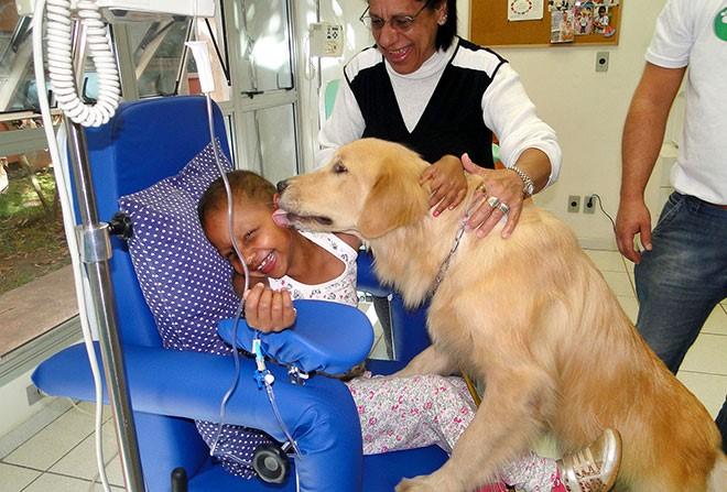 Conheça a Pet Terapia Conheça a Pet Terapia