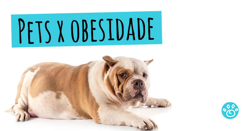 Pets x Obesidade