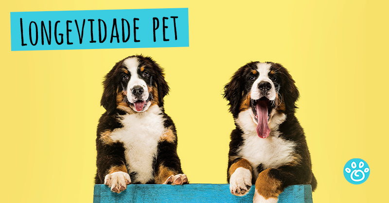 Longevidade Pet