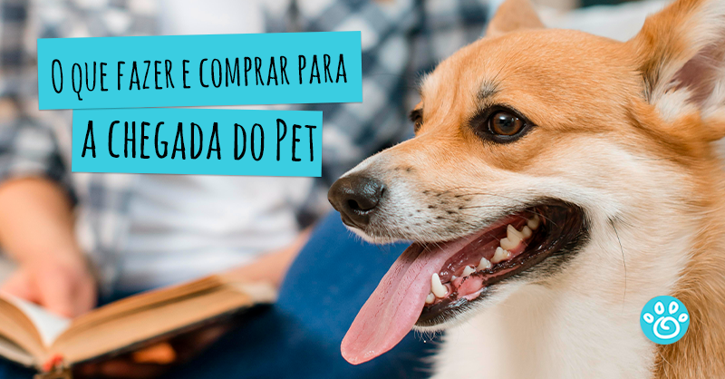 O que fazer e comprar para a chegada do Pet