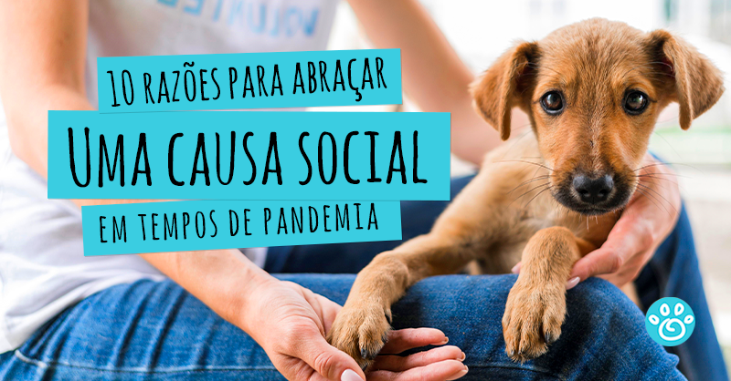 10 razões para abraçar uma causa social em tempos de pandemia