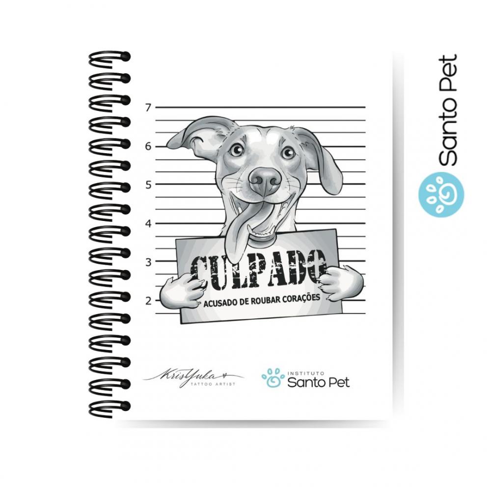 Caderno Culpado